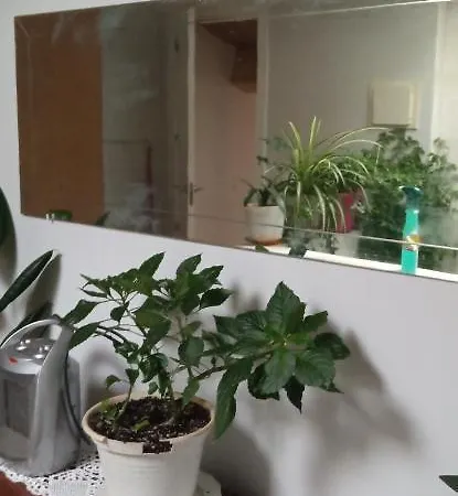 Atico Appartement La Guardia Buitenkant foto