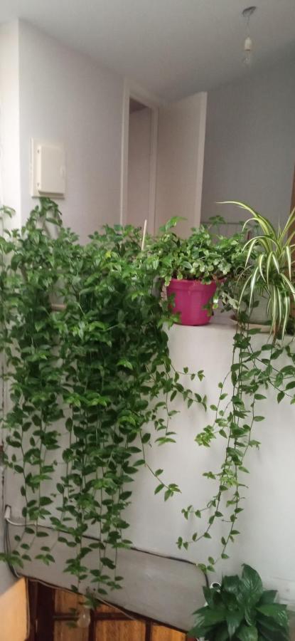 Atico Appartement La Guardia